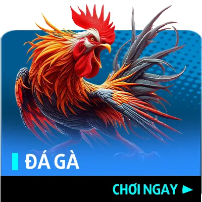 Đá gà